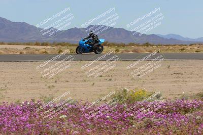 media/Mar-12-2023-SoCal Trackdays (Sun) [[d4c8249724]]/Turn 15 Inside Bloom (130pm)/